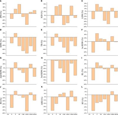 Boosting cadmium tolerance in Phoebe zhennan: the synergistic effects of exogenous nitrogen and phosphorus treatments promoting antioxidant defense and root development